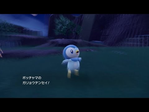 ポッチャマのガリョウテンセイ【ポケモンsv】