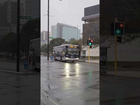 Auckland bus Route_33 Otahuhu Station to Papakura #kuyabogpilotzn #auckland #bus #spotting