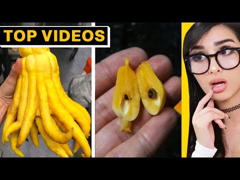 Forbidden Food I Really Want to Eat | SSSniperWolf