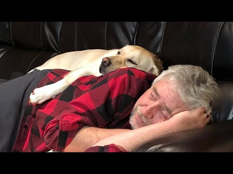 My Dad Said No Dog… Now Look at Them!🤣