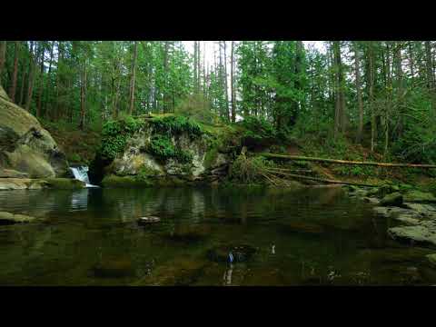 8 Hours Forest Waterfall - Nature Sounds | Great Escapes