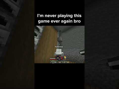 Minecraft Gravel Moment