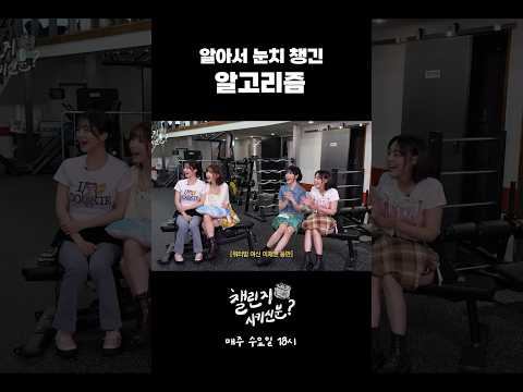 큐떱의 알고리즘 사이에 피어난 채연🌹 | 챌린지 시키신 분? ep.6