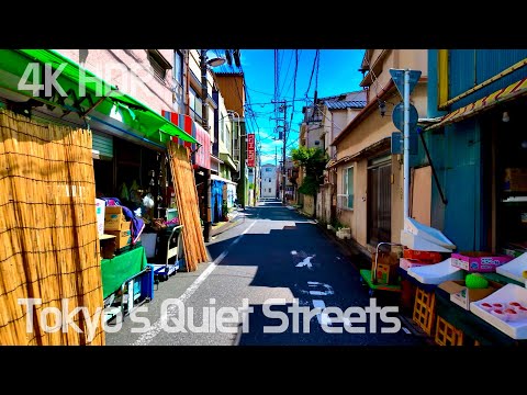 Machiya’s Calm Summer Walk in Traditional Tokyo 4K/HDR | Google Maps and subtitles | Japan