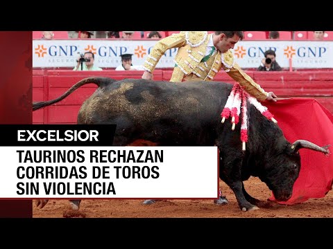 ¿Estocada a la tauromaquia? Definen en días futuro de las corridas de toros en la CDMX