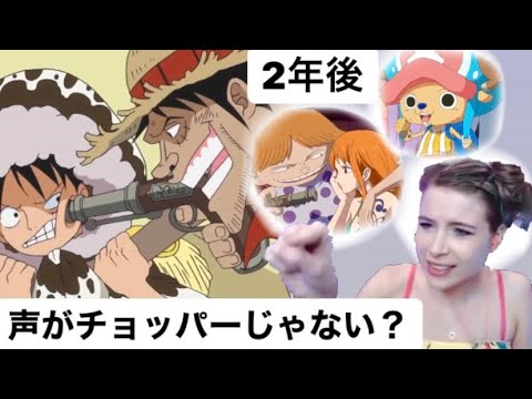 【海外の反応】２年後！シャボンディ諸島に再集結！【animaechan】【日本語字幕】【ワンピース】