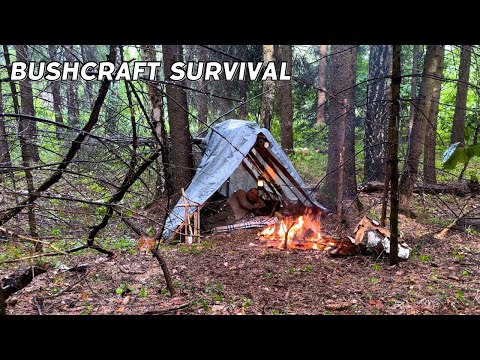 Building a shelter to hide from rain and wind. Bushcraft adventures far from civilization. ASMR