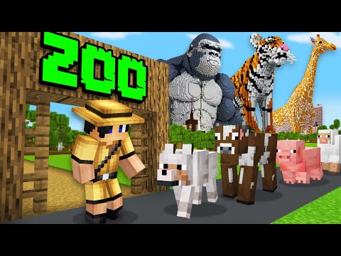 Minecraft but I Open A Zoo...