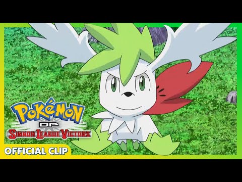 Shaymin Transforms! | Pokémon: DP Sinnoh League Victors | Official Clip