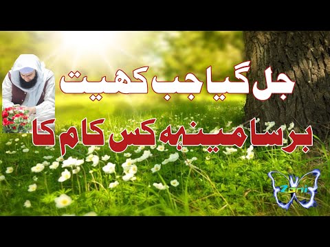 jal gya jab Khait bersa meenh to phir kis kam ka| emotional Islamic poetry| Muhammad Waseem Farooqi