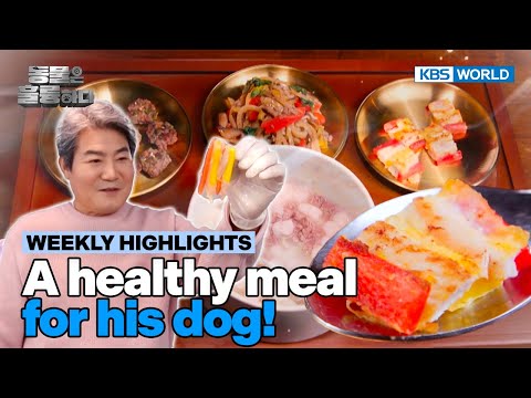 [Weekly Highlights] Jinsung's petcipe for his dog😋 [Animals Are Incredible] | KBS WORLD TV 250305