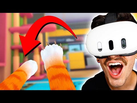 I BECAME A CAT IN VR! (I Am Cat)