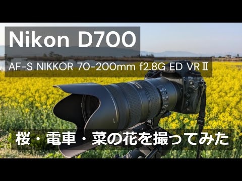 Nikon D700｜AF-S NIKKOR 70-200mm f/2.8G ED VRⅡ｜春を撮る