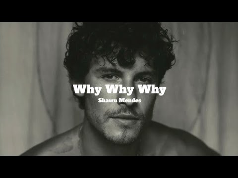 Shawn Mendes - Why Why Why