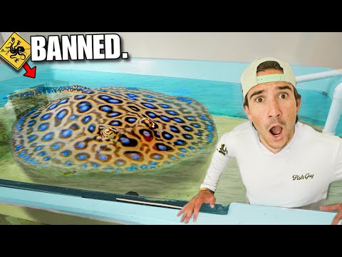 Buying Mystery Sea Creature Online... {unexpected surprise}