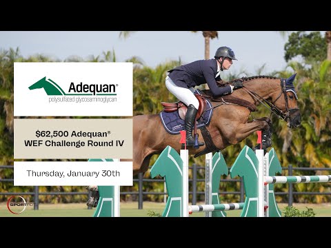 Watch the $62,500 CSI4* Adequan WEF Challenge Cup