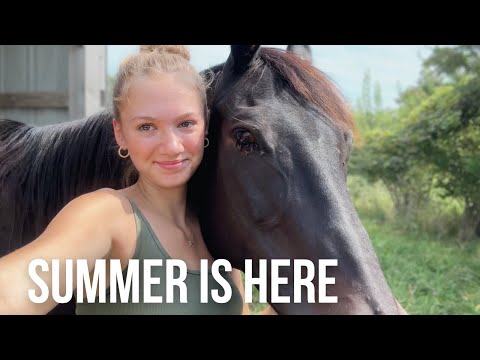 The Farm Animals Are Finally Going to Pasture! Farm Vlog