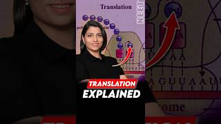 Translation Explained 📚#neetbiology #neet2025 #riturattewal #translation