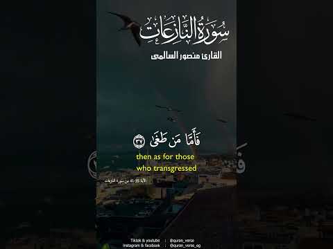 يوم يتذكر الإنسان ما سعى   منصور السالمى