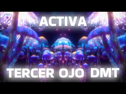 POWERFUL SHAMANIC MUSIC FOR A DEEP TRANCE 👁️ ACTIVATES THE THIRD EYE AND DMT