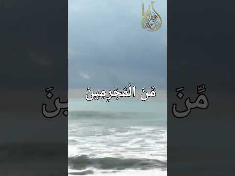 وَقَالَ الرَّسُولُ يَا رَبِّ إِنَّ قَوْمِي اتَّخَذُوا هَـٰذَا الْقُرْآن مهجورا | القارئ أسامة عطران