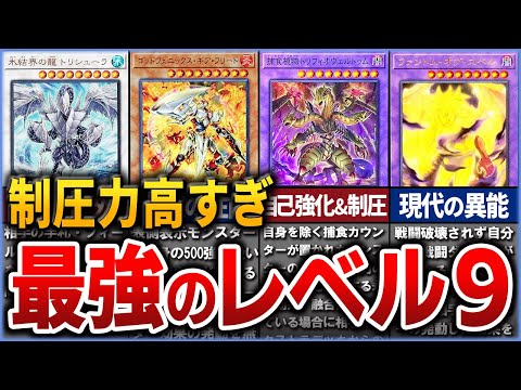 【遊戯王】史上最強レベル9モンスター10選を徹底解説【ゆっくり解説】#遊戯王ocg #遊戯王 #yugioh