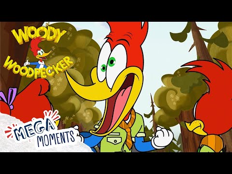 Woody the Crazy Scout | Woody Woodpecker | Full Episodes | Mega Moments