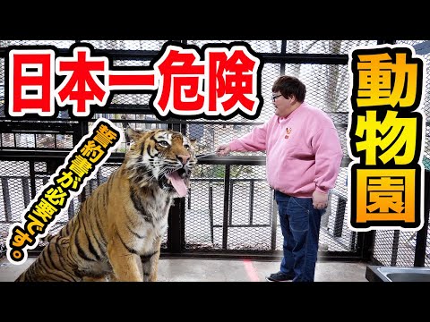 【誓約書がないと入れません】日本一危険な動物園に行ったらガチでヤバくて楽しすぎたwww