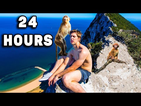 Surviving 24 Hours On A Monkey Island