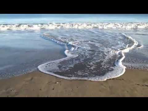 Beach Day (Sometime in Spring 2015) SoCal