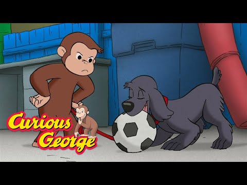 George's Soccer Dog! 🐵 Curious George 🐵 Kids Cartoon 🐵 Kids Movies