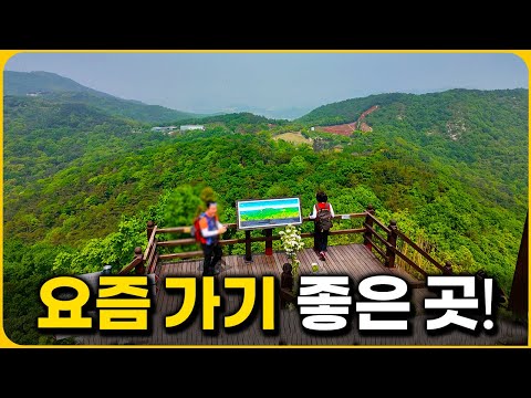 South Korea's stunning scenery and secret forest | solo travel