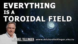 Everything Is A Toroidal Field