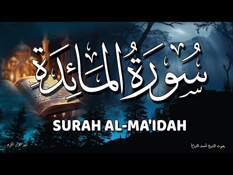 سوره المائده من أجمل سور القران فى رمضان 2025 بصوت روعة الشيخ أحمد الدباغ