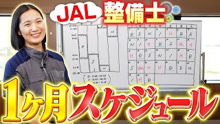 【需要ありますか？】JAL整備士に1ヶ月のスケジュールを教えてもらいました