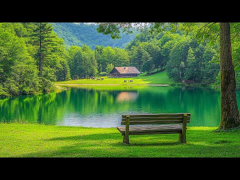 Relaxing Piano Nature Music - Stress Relief, Peaceful Sleep Music, Soothing and Calming Music #5