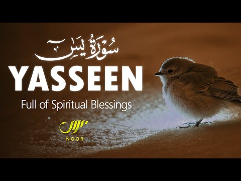 Surah Yaseen Full | Beautiful & Soothing Recitation | Healing & Protection