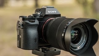 Sony A7 Review - A killer camera with a small footprint