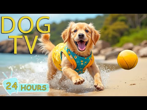 DOG TV: Video Relaxing & Anti Anxiety for Dogs While Home Alone - Best Entertain Music for Dogs