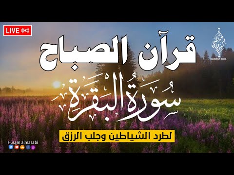 قرآن الصباح رمضان ☀️ قران كريم سورة البقرة لحفظ و تحصين المنزل وجلب البركه والرزق Surat Al-Baqarah