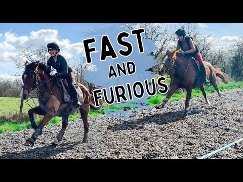 RACING MY THOROUGHBRED| Riding on the Gallops