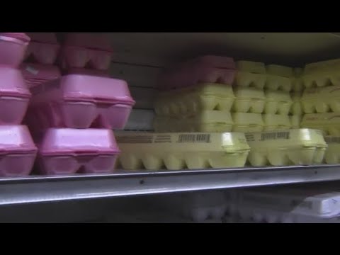 NYC bodegas serve plant-based eggs amid shortage