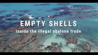 Empty Shells: Inside the illegal abalone trade