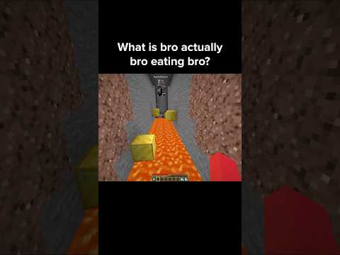 Minecraft Chase Moment