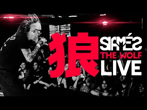 SIAMÉS - “The Wolf" [Live At Vorterix Theater in Buenos Aires] One Shot Video