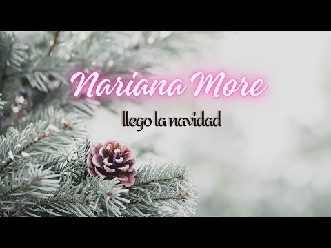 Llegó la Navidad