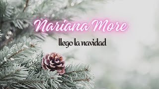 Llegó la Navidad