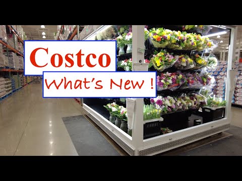 COSTCO !! WHAT'S NEW !! SHOPPING !!