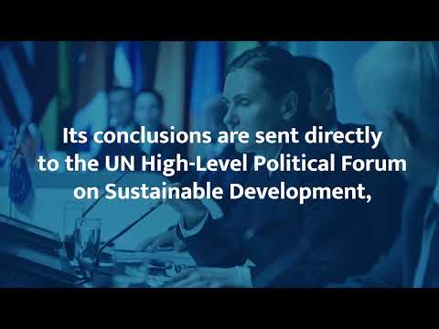 Forum of the Countries of Latin America and the Caribbean on Sustainable Development