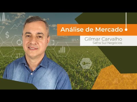 Análise de Mercado 13/11/2020